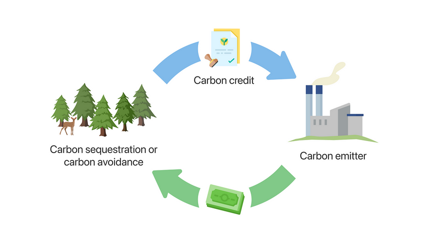 So What Are Carbon Credits?