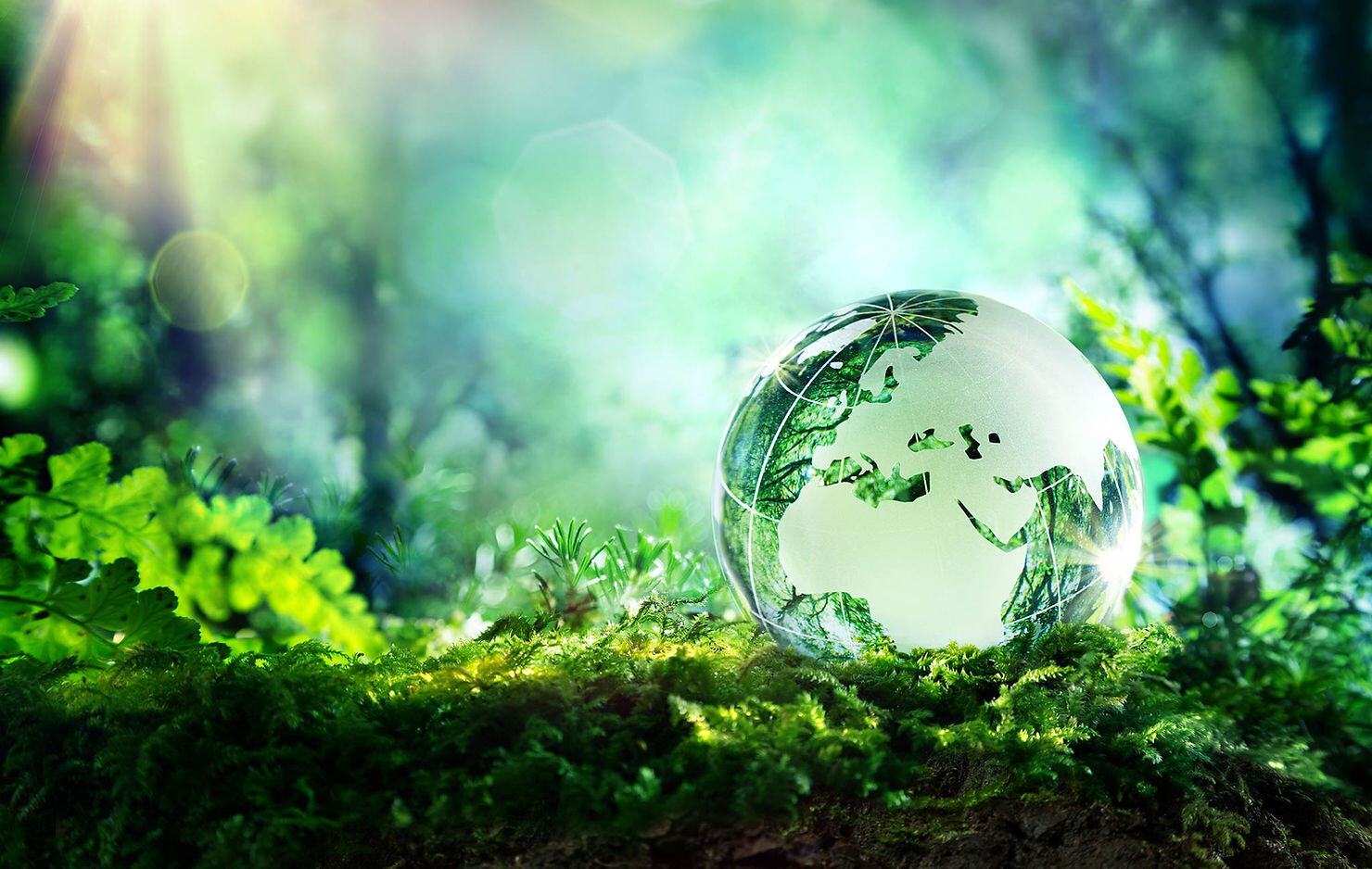 Do PE (Private Equity) firms care about ESG (Environmental, Social, Governance) in the UK?