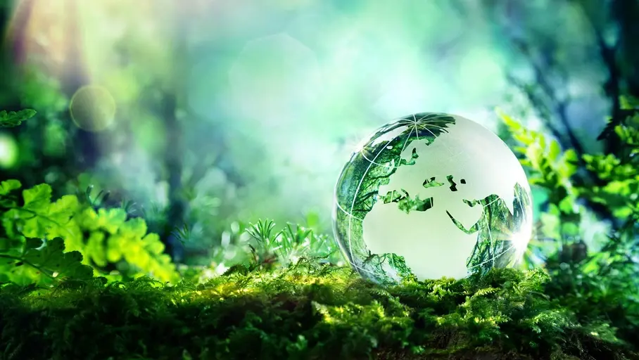 How does corporate governance ensure sustainability?