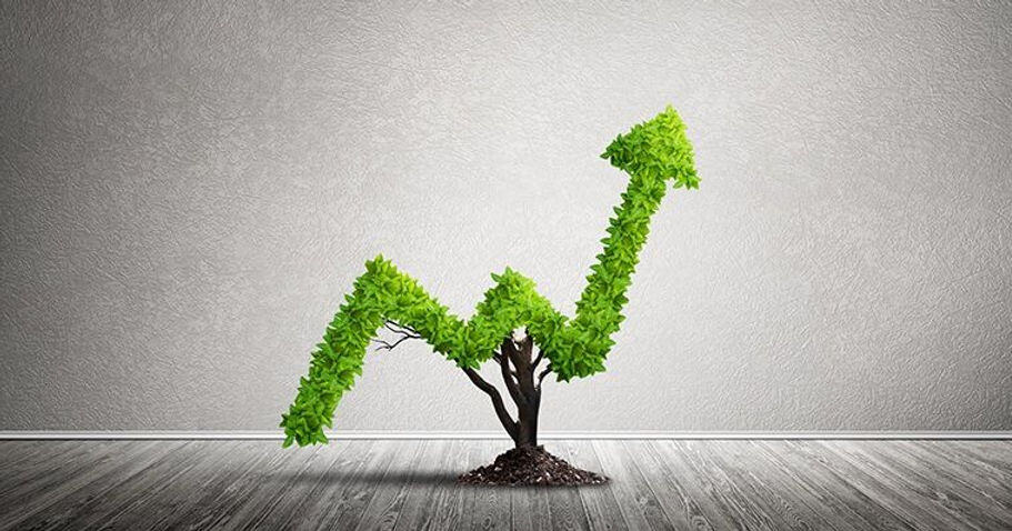 How Private Equity Can Lead the Way in Corporate Sustainability?