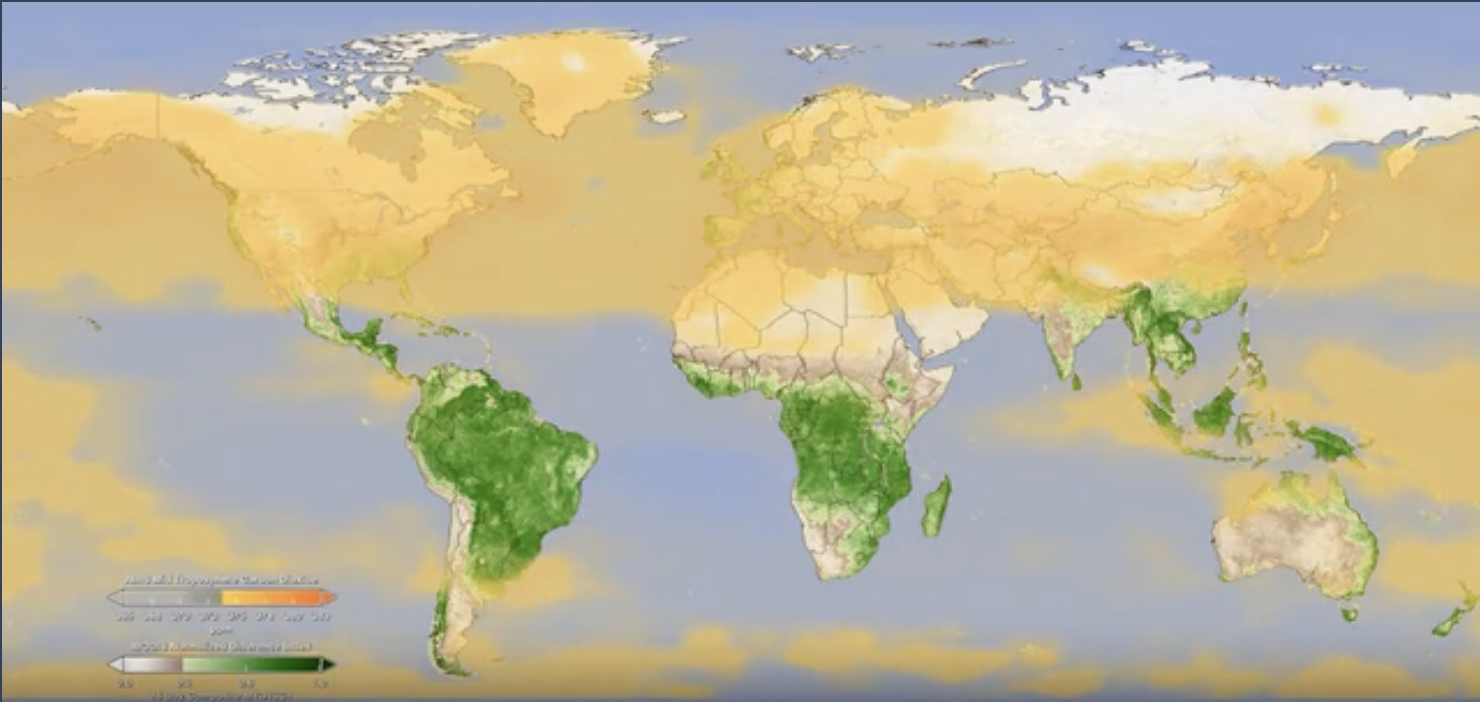 Watching Earth Breathe Carbon Dioxide