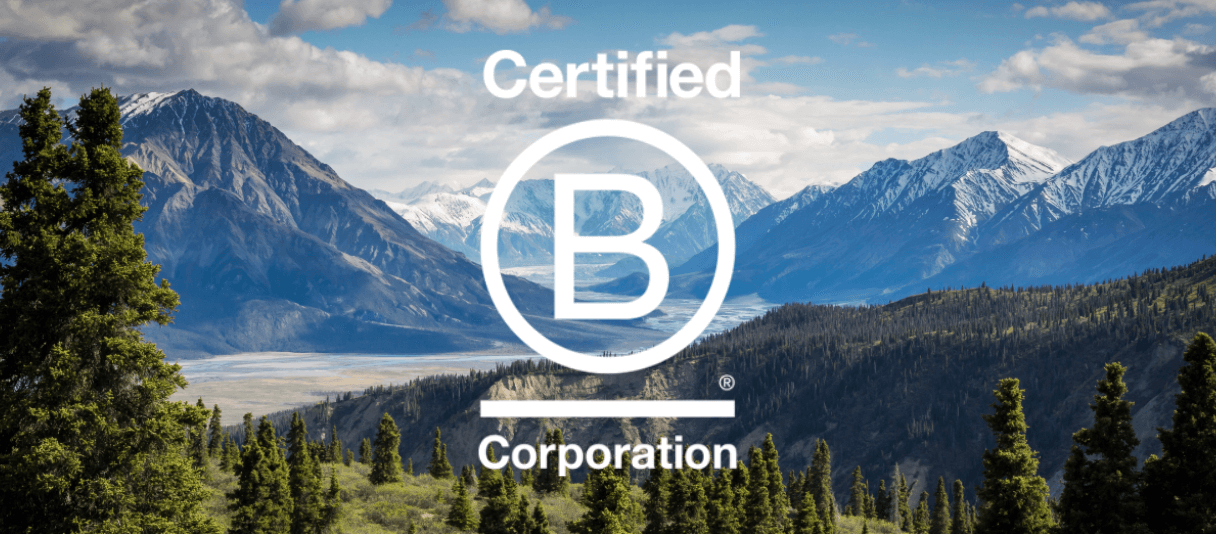 Are You Thinking About B Corp Certification?